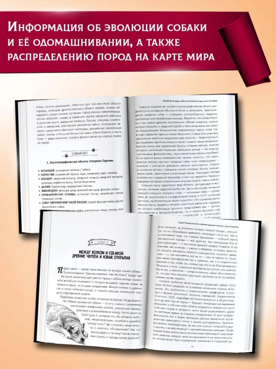 Породы собак Энциклопедия (первая обложка с борзой)