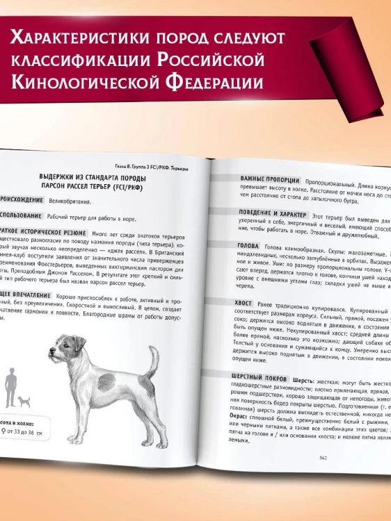 Породы собак Энциклопедия (первая обложка с борзой)