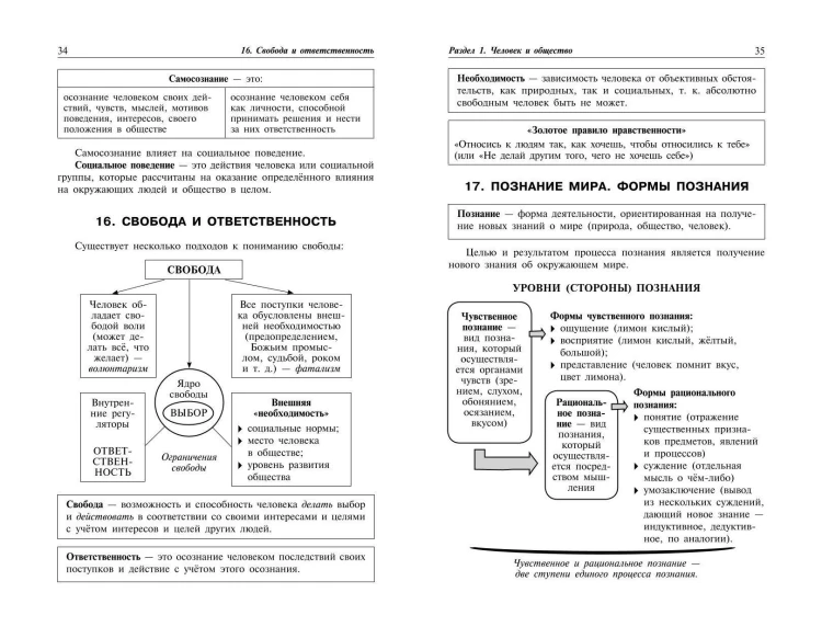 Обществознание: наглядно и доступно