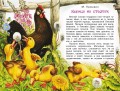 Рассказы о природе