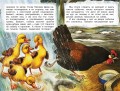 Рассказы о природе