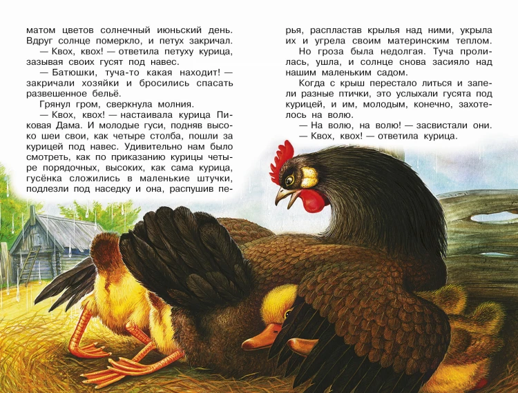 Рассказы о природе