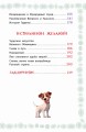 Волшебник Изумрудного города
