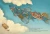 Расскажи мне о счастье!_ Лука Тортолини иллюстрации Марко Сома2.webp