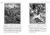 005.webp