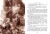 004.webp