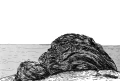 002.webp