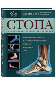 Человеческая стопа: новое понимание формы и функции. Руководство для ортопедов и физиотерапевтов