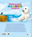002.webp