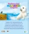002.webp
