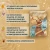 004.webp