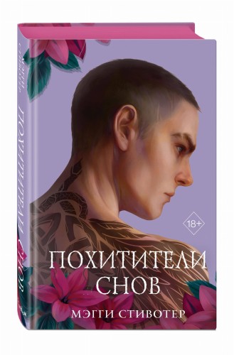 Вороновый круг. Похитители снов (#2) (подарочное оформление)