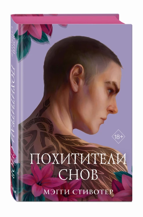 Вороновый круг. Похитители снов (#2) (подарочное оформление)