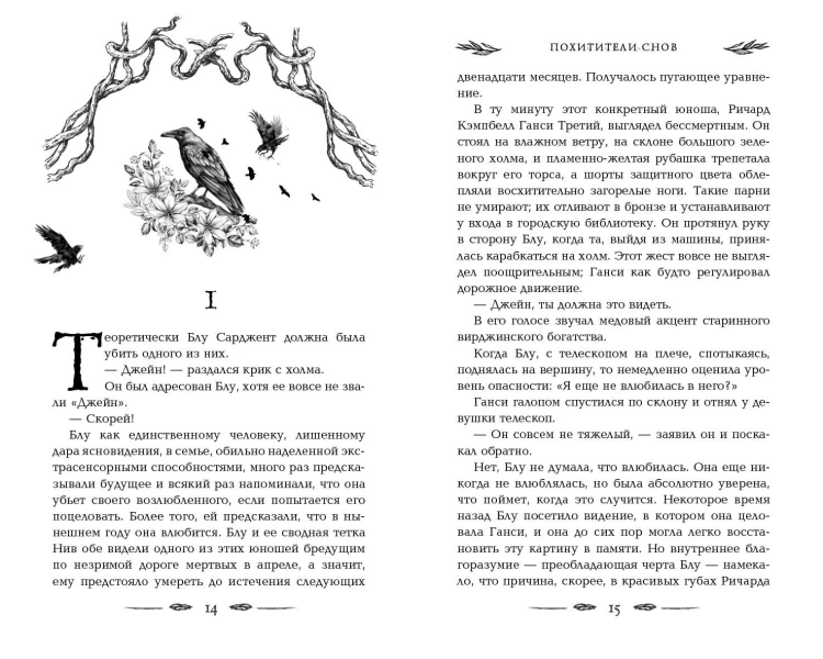 Вороновый круг. Похитители снов (#2) (подарочное оформление)