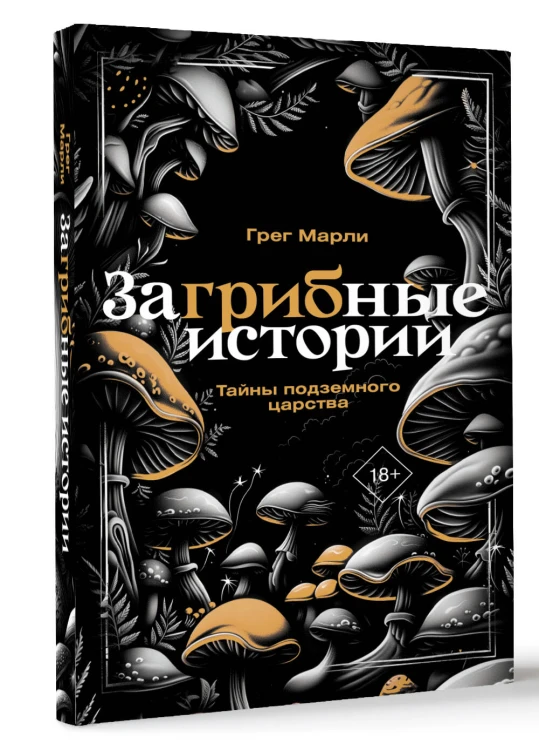 ЗаГРИБные истории. Тайны подземного царства