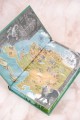 Легенда о разорении династий. Книга 1. Снег и туман