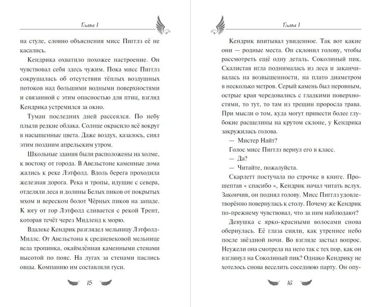 Соколиный пик. Стражи небес (#1)