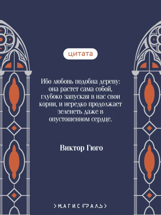 Собор Парижской Богоматери. Подарочное издание