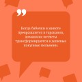 Комплект из 3 книг (Курятник в пентхаусе. Черная жемчужина раздора. Пирог от сапожника)