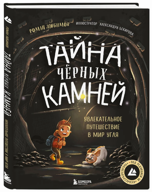 Тайна чёрных камней. Увлекательное путешествие в мир угля