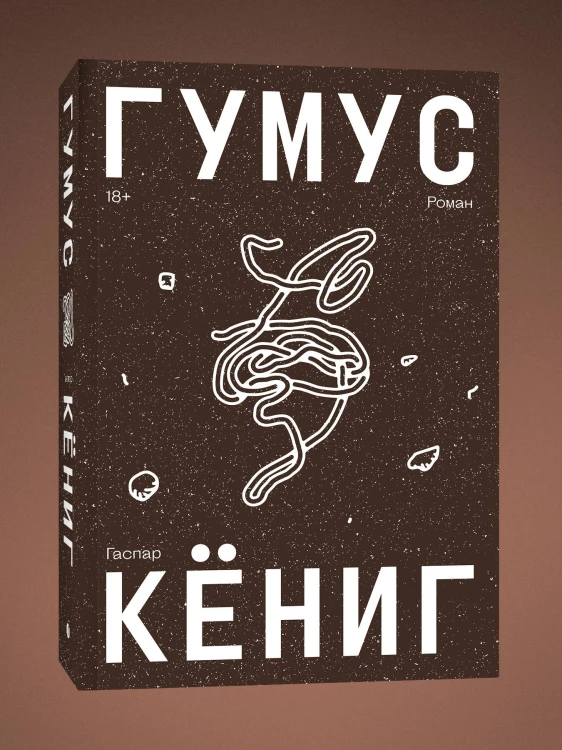 Гумус