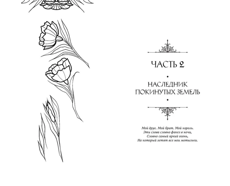 Князь Штормовых Земель