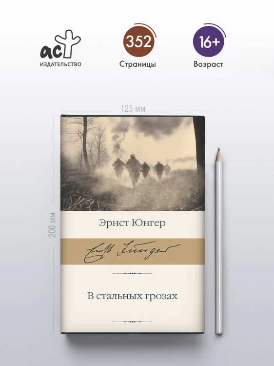 В стальных грозах
