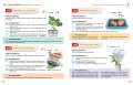 Опыты! 365 увлекательных экспериментов для детей