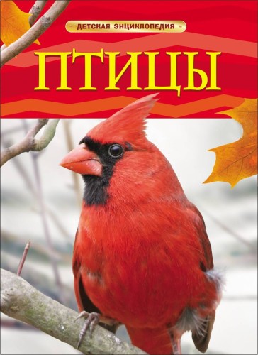 Птицы. Детская энциклопедия
