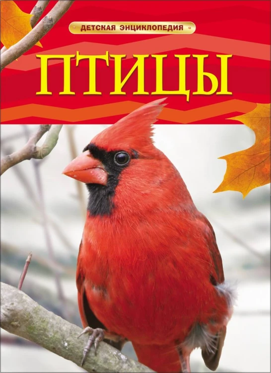 Птицы. Детская энциклопедия