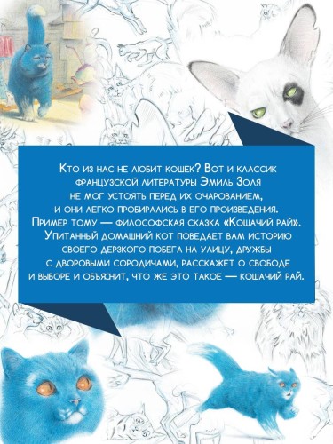 Кошачий рай