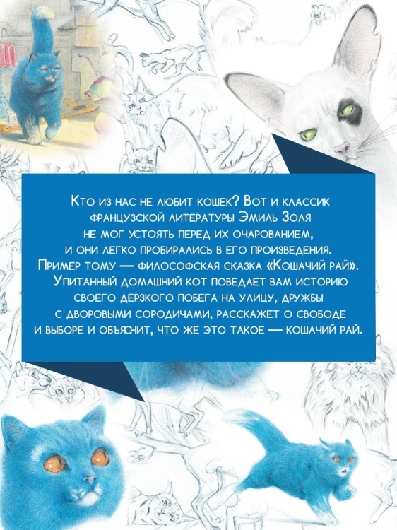 Кошачий рай
