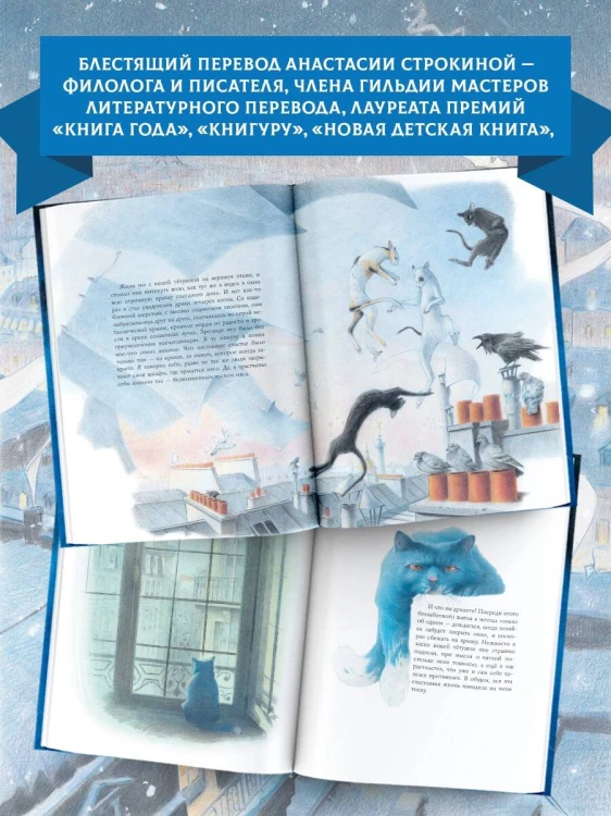 Кошачий рай