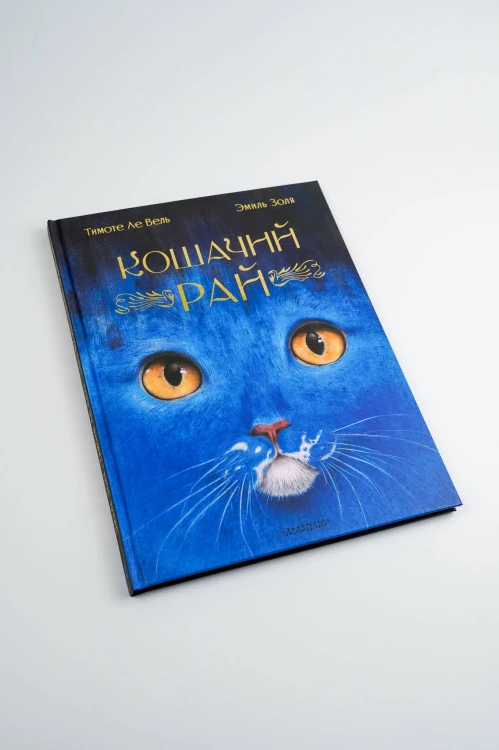 Кошачий рай