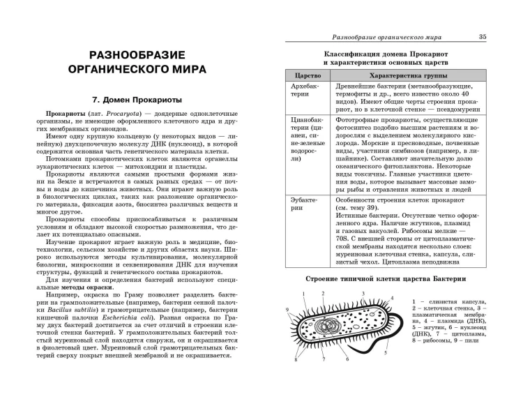 Биология: наглядно и доступно