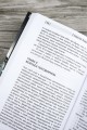Я, Хобо: Времена смерти