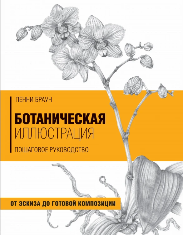 Ботаническая иллюстрация. Пошаговое руководство. От эскиза до готовой композиции