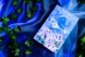 Liber Obscura. Тёмная книга, Эрика и её кошмарное приключение в двузначность