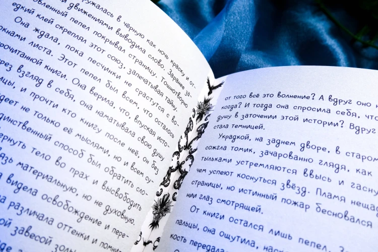 Liber Obscura. Тёмная книга, Эрика и её кошмарное приключение в двузначность