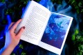 Liber Obscura. Тёмная книга, Эрика и её кошмарное приключение в двузначность