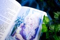 Liber Obscura. Тёмная книга, Эрика и её кошмарное приключение в двузначность