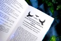 Liber Obscura. Тёмная книга, Эрика и её кошмарное приключение в двузначность