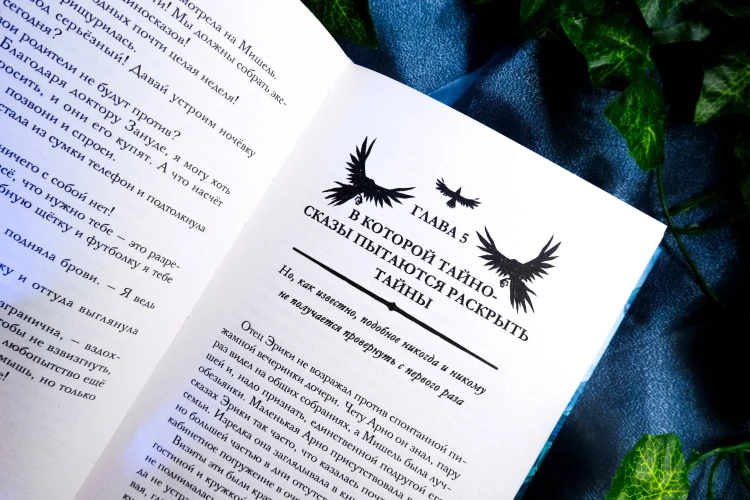 Liber Obscura. Тёмная книга, Эрика и её кошмарное приключение в двузначность