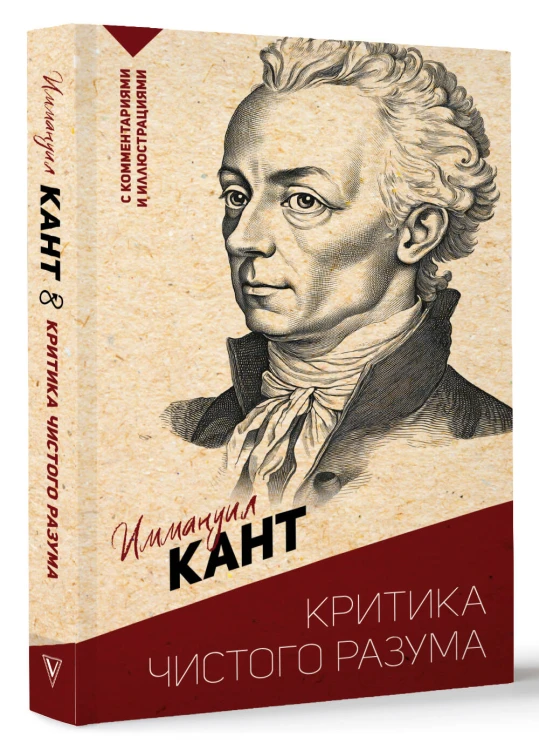 Критика чистого разума. С комментариями и иллюстрациями
