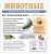 Животные. Полная энциклопедия