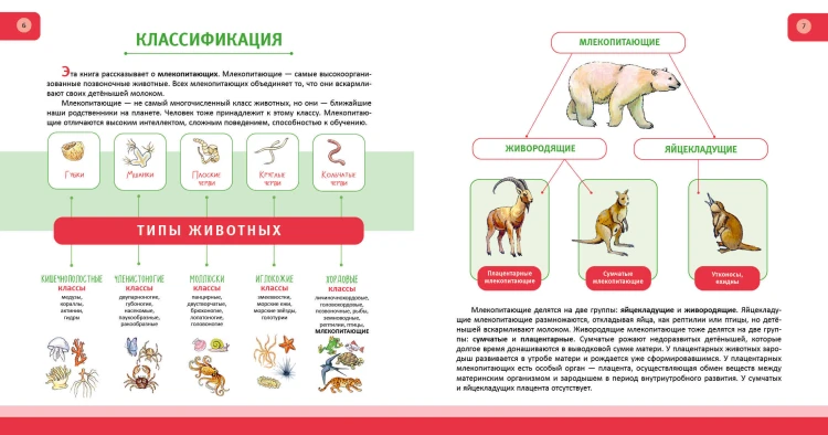 Животные. Полная энциклопедия