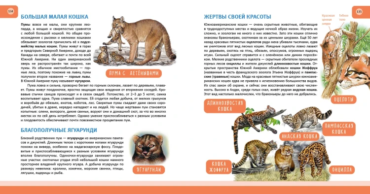 Животные. Полная энциклопедия