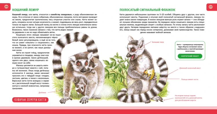 Животные. Полная энциклопедия