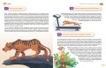 Книга знаний! 365 фактов об окружающем мире