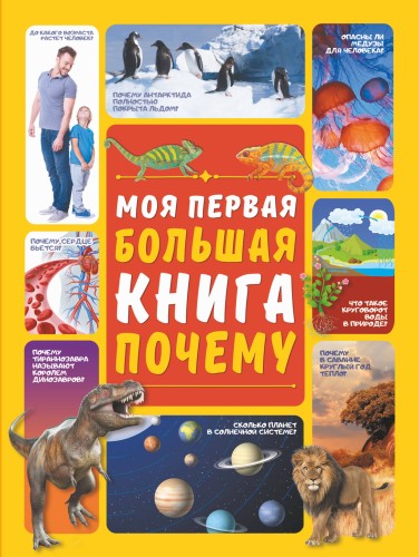 Моя первая большая книга ПОЧЕМУ